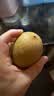 佳沛（zespri）新西兰金奇异果22粒巨大原箱146-175g猕猴桃中秋节礼品送水果礼盒 实拍图