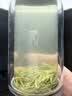 保银信阳毛尖2026新茶绿春茶明前头采嫩芽尖100g清香罐装自饮高山春茶 实拍图