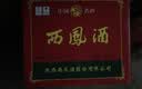 西凤酒 绿瓶盒装陕西版 55度  500ml*12盒 整箱装 凤香型白酒 实拍图