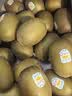 佳沛（zespri）新西兰金奇异果10个装单果重103-114g猕猴桃中秋节礼品送水果礼盒 实拍图