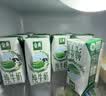 金典纯牛奶200ml*12盒 3.6g乳蛋白 原生高钙 中秋牛奶礼盒 7月产 【轻享随饮装】金典纯牛奶*1箱 实拍图