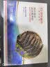 京东超市 海外直采活冻黑虎虾2斤(40-50规格)自营海鲜 烧烤火锅 实拍图