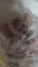 龙大肉食国产猪排骨块净重2斤 猪排骨 免切出口级排骨 猪肉 烧烤煲汤食材 实拍图