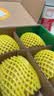 佳沛（zespri）新西兰金奇异果8粒特大果124-146g猕猴桃中秋节礼品送水果礼盒 实拍图