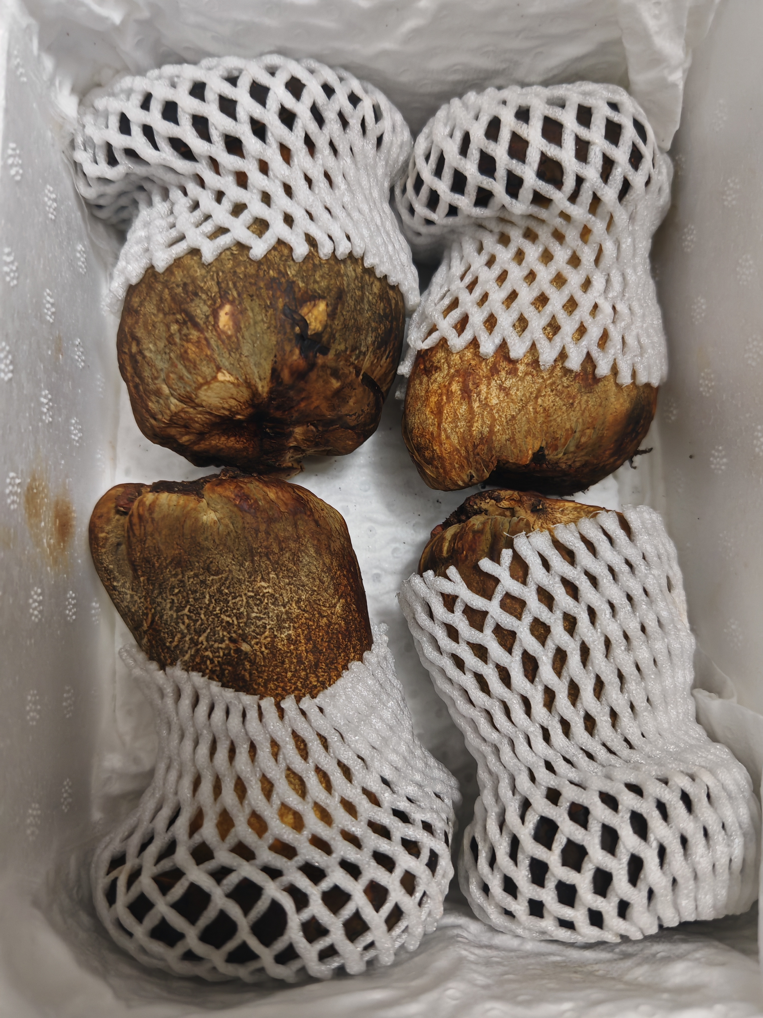 京鲜生云南【新鲜黑牛肝】净重1斤特产鲜菌菇煲汤火锅食材源头直发 实拍图