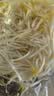 绿豆芽300g 实拍图