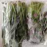 大菠菜300g 实拍图