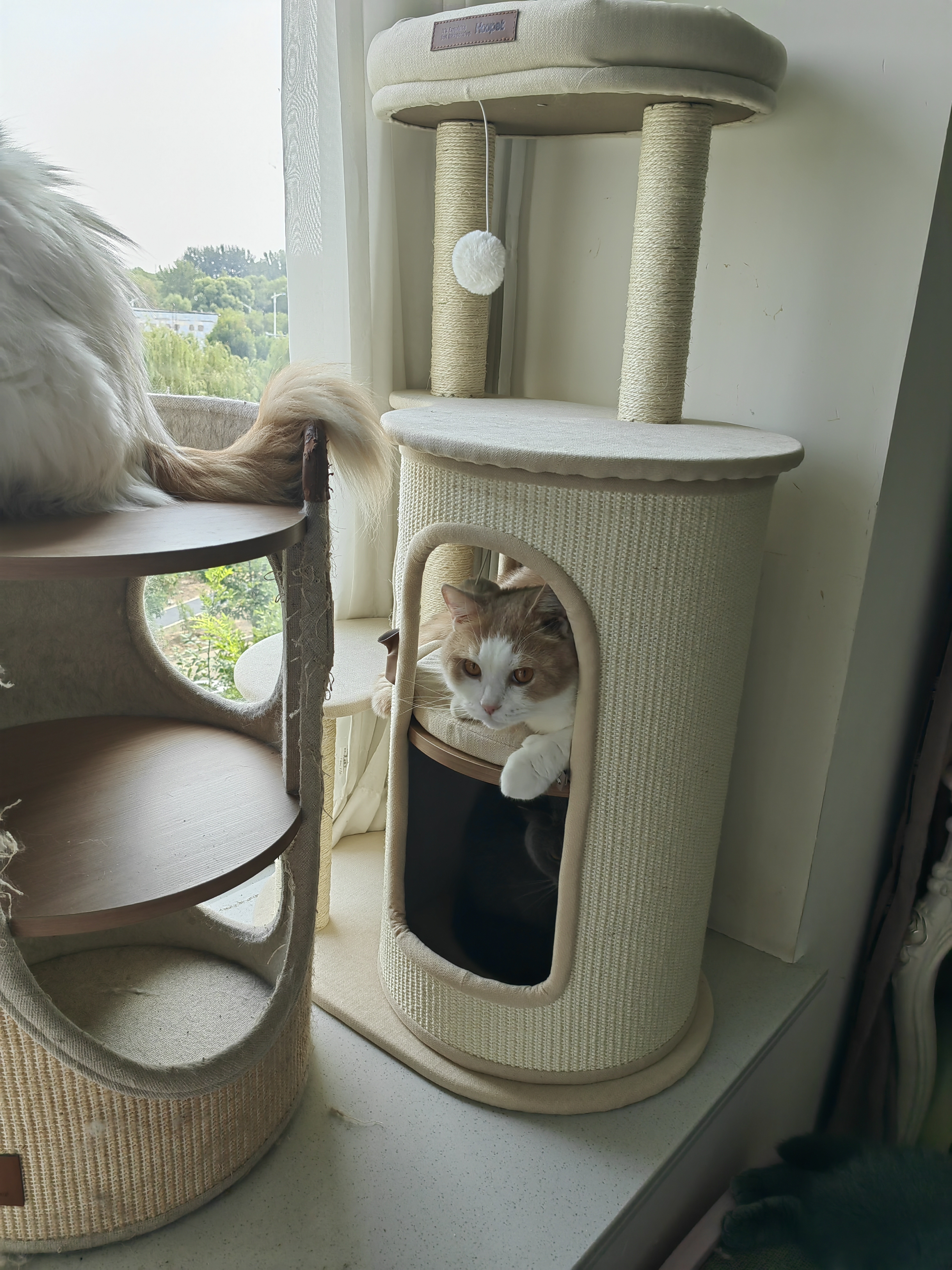 华元宠具秋冬保暖猫爬架小户型抓桶不占地四季通用猫窝一体家用多层剑麻桶 实拍图