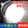 振牛led灯泡家用节能灯白光超亮大功率室内照明灯工厂商用e27螺口灯泡 300W型【顶配爆亮工程款】E27 实拍图