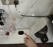 卓朗便携式即热饮水机小型 便携式热水壶 泡奶饮水机 旅行双电压国际版便携式烧水壶ZL-2049 实拍图