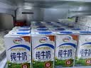伊利纯牛奶250ml*24盒 优质乳蛋白早餐奶 中秋礼品 6月产 实拍图