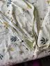 安睡宝（SOMERELLE）100%全棉床上四件套纯棉 床单款床上用品被套200*230cm1.5/1.8米 实拍图