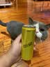 可口可乐（Coca-Cola）Schweppes怡泉无糖零卡/含糖苏打水汽水饮料整箱装 汤力水330ml*24罐【含糖】 实拍图