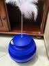 憨憨乐园猫玩具自嗨神器逗猫球猫咪玩具自己玩解闷不倒翁猫转盘逗猫棒用品 实拍图
