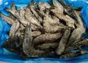 禧美海产鲜冻黑虎虾净重2斤装 规格40-50只/kg 单冻大虾 烧烤 中秋礼盒 实拍图