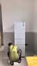 美的（Midea）电冰箱220升三门三温租房家用客厅宿舍小型三开门节能省电低音运行 220L三门家用冰箱|极地白 实拍图