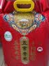 十月稻田 五常香米 五常大米 10斤（东北大米 5kg/公斤） 实拍图