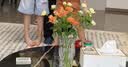 墨斗鱼花瓶轻奢玻璃高22cm大口径透明摆件郁金香富贵竹培容器教师节礼物 实拍图