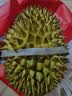 京鲜生 进口金枕头鲜榴莲 净重4-5斤 1个装 新鲜榴莲 水果教师节送礼 实拍图