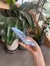 WiWU双气囊支点壳Q1适用iPhone18ProMax手机壳 通用iphone17promax保护套2026新款精孔全包磁吸 【晴空蓝】真气囊防摔|360°旋转支架|清爽冰透 iPhone17 Pr 实拍图