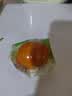 啃馋你 茶叶蛋卤蛋龙井茉莉味200g 去壳免剥 即食早餐健身泡面卤味零食 实拍图