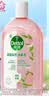 滴露（Dettol）衣物消毒液自然香氛洗衣除菌液 除螨除异味去汗臭48h留香1000ml*1 实拍图