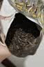 七彩雲南茶叶 普洱茶熟茶 勐海 名门普洱 特级散茶200g/罐 可泡陈皮 实拍图