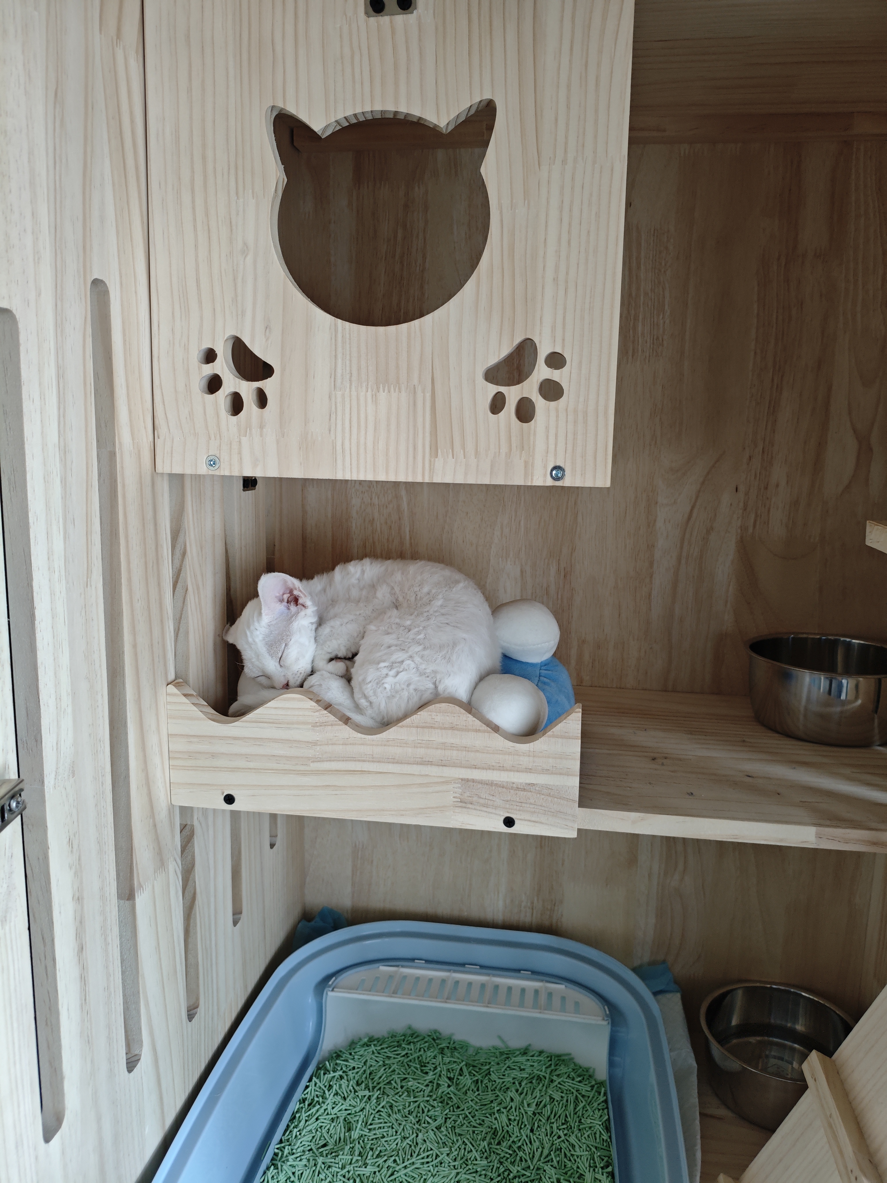 HELLOJOY狗碗食盆加大加深猫碗双碗保护颈椎猫狗宠物喝水碗饭盆干湿分离 实拍图