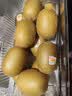 佳沛（zespri）新西兰金奇异果10个装单果重103-114g猕猴桃中秋节礼品送水果礼盒 实拍图