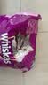 伟嘉成猫猫粮全价粮1.3kg海洋鱼味夹心粮布偶蓝猫橘猫 实拍图