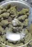 网易严选猫用薄荷饼干宠物幼猫成猫猫咪零食饼干鸡肉猫草味95g*4 实拍图