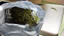 一杯香茶叶绿茶明前安吉正宗白茶200g新茶中秋礼盒装礼品自己喝散装茗茶 实拍图