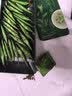 贡苑【明前头采头芽新茶】小叶苦丁特级2026嫩芽茶30包/罐 四川峨眉 实拍图