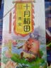十月稻田 芡实 400g  圆粒红皮鸡头米 鸡头果 五谷杂粮粗粮 炖汤煲粥材料 实拍图
