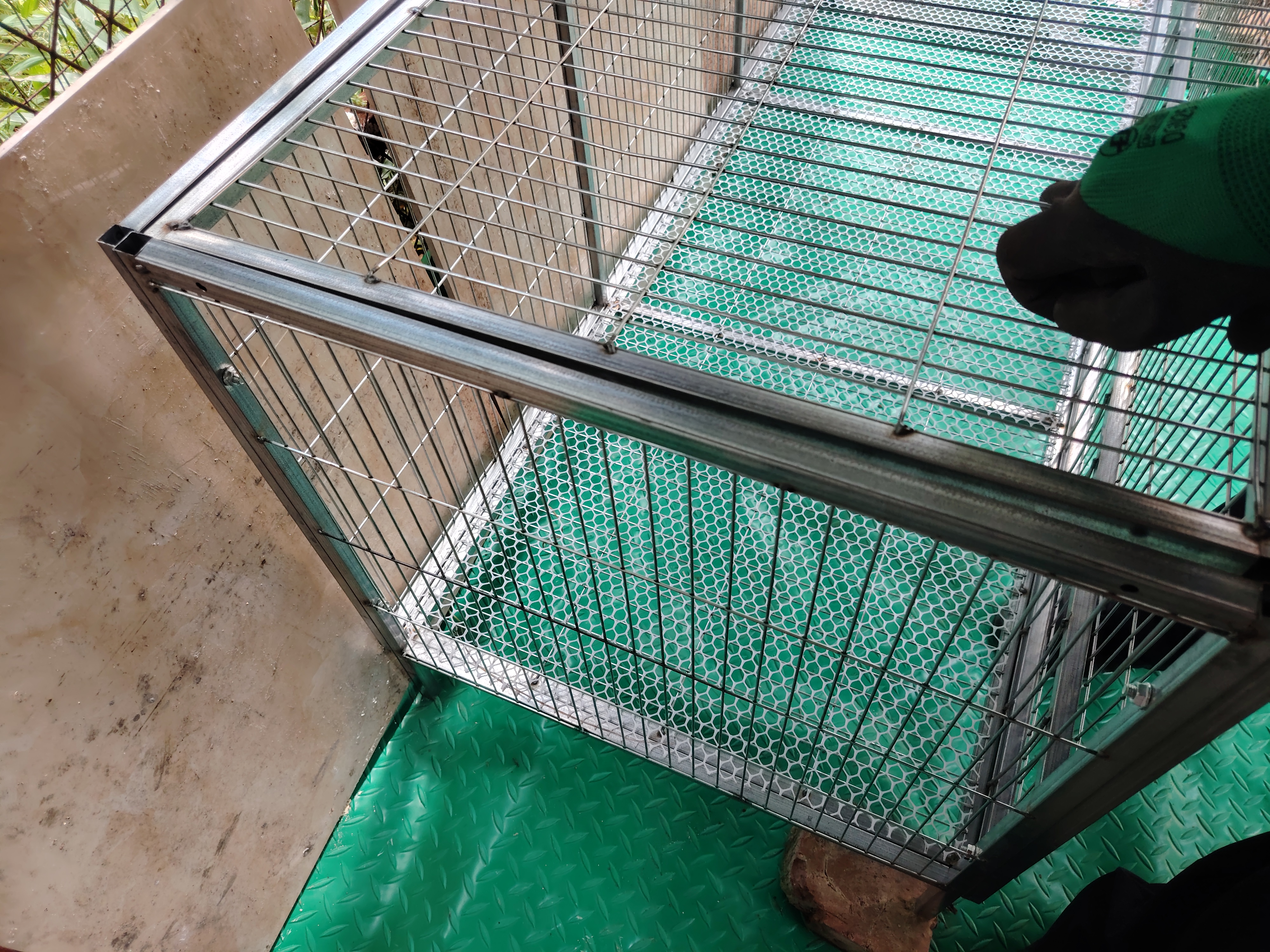 京东快递大号鸡笼家用室外镀锌防雨防黄鼠狼自动清粪鸡鸭鹅猫狗笼 【镀锌加粗方钢】150*58*62cm【侧开门天窗】 实拍图