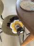 华元宠具（hoopet）猫咪伊丽莎白圈幼猫项圈宠物狗狗耻辱颈圈脖圈头套犬防舔防咬头罩 实拍图