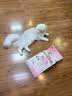 皇家猫粮 幼猫猫粮 幼猫奶糕 K36 通用粮 4-12月 2KG 实拍图