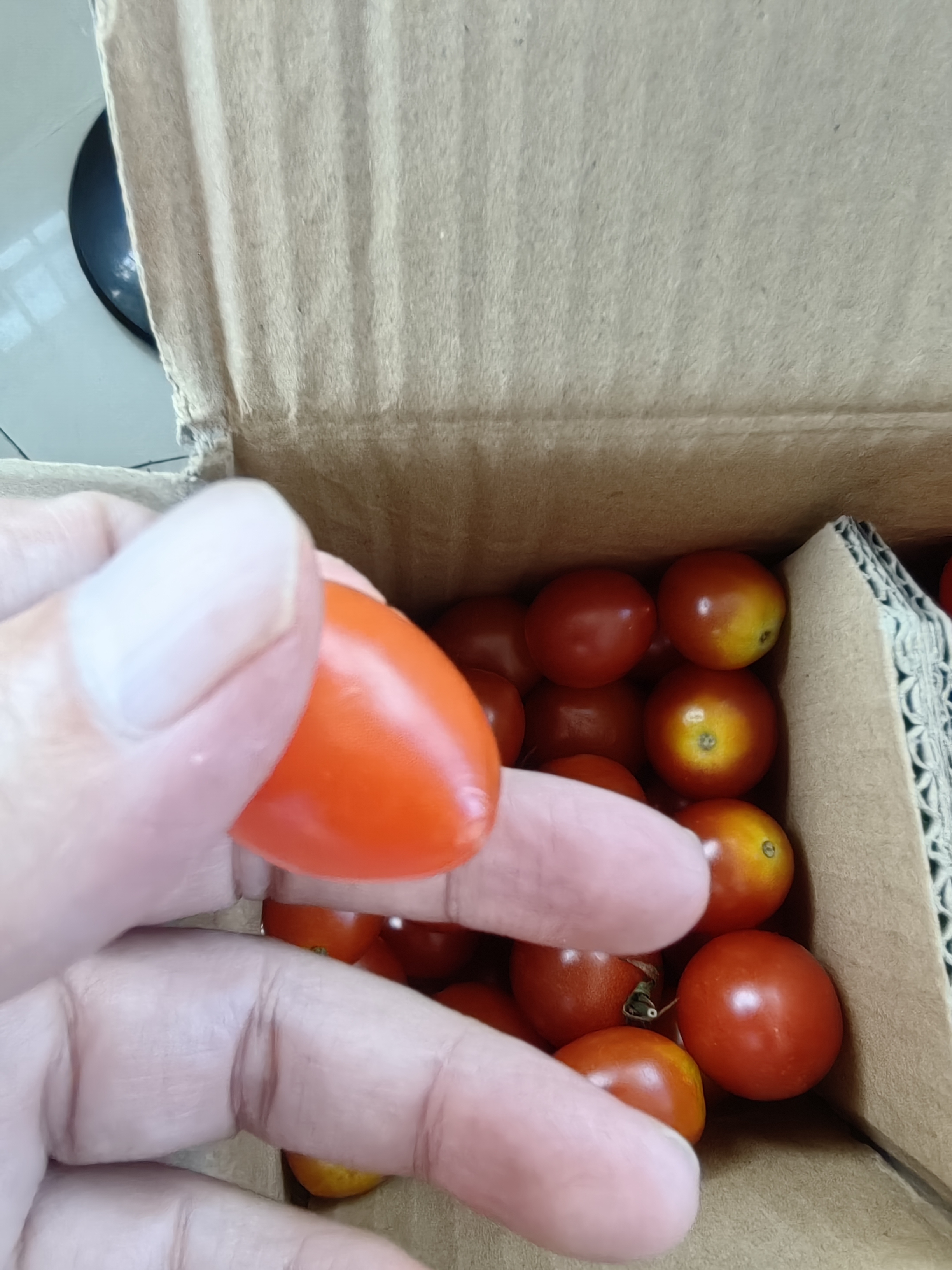 广西露天圣女果樱桃小番茄即食水果西红柿新鲜蔬菜应季整箱批发价 带箱4斤 4斤 净重3.5斤 实拍图
