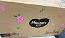 好奇（Huggies）铂金装小桃裤纸尿裤L120片(9-14kg)大号尿不湿【散热口碑王】 实拍图