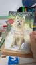 Because of Winn-Dixie 傻狗温迪克-美版 2001纽伯瑞银奖 都是戴茜惹的祸 文学 英文原版 儿童动物小说 Kate DiCamillo 蓝思阅读指数660L 晒单实拍图