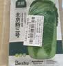 北蔬 小叶香菜种子苗浓香芫荽四季蔬菜籽 寒圣1号小叶香菜籽种子250g 实拍图