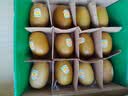 佳沛（zespri）新西兰金奇异果30-33粒原箱103-124g猕猴桃中秋节礼品送水果礼盒 实拍图