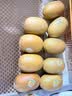 佳沛（zespri）新西兰金奇异果10粒巨大果146-175g猕猴桃中秋节礼品送水果礼盒 实拍图