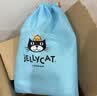 Jellycat害羞乳白色邦尼兔动物毛绒玩偶安抚玩偶娃娃送礼生日礼物 害羞乳白色邦尼兔 Small 实拍图