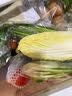 带根鲜香菇约300g 实拍图