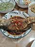 鲜活鲈鱼400-500g/条 实拍图
