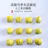 陈一凡胎菊花茶 头茬新鲜胎菊花蕾无添加泡水喝花草茶罐装60g 实拍图