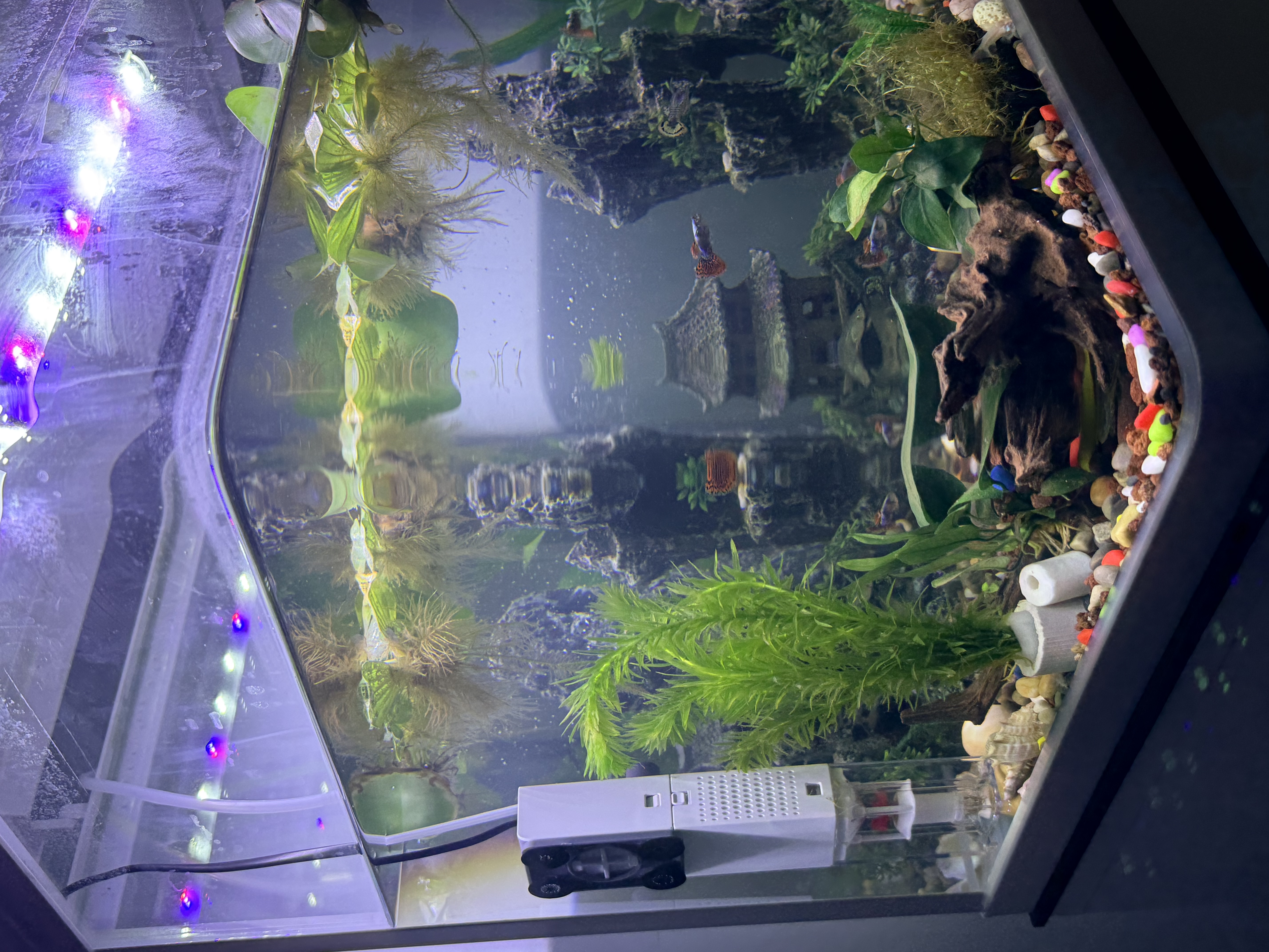松宝（sobo）鱼缸过滤器内置三合一过滤增氧系统水族箱养鱼循环水泵氧气泵 15W 实拍图