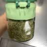 居元素玻璃密封防潮调料盒厨房盐糖瓶罐家用带勺调味罐350ml 果粉绿 实拍图
