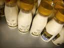 每日鲜语鲜牛奶 3.6g全脂211ml*6 家庭必备 巴氏杀菌乳 低温奶 实拍图